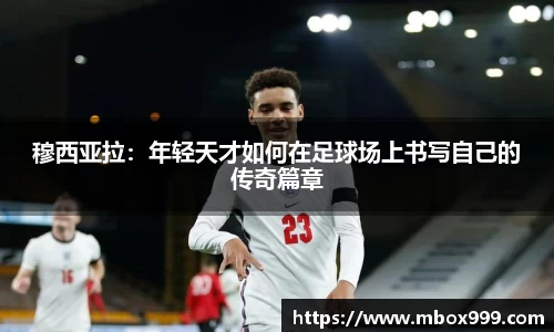 Bsports体育